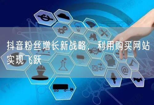 抖音粉丝增长新战略，利用购买网站实现飞跃