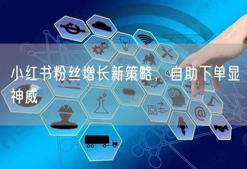 小红书粉丝增长新策略，自助下单显神威