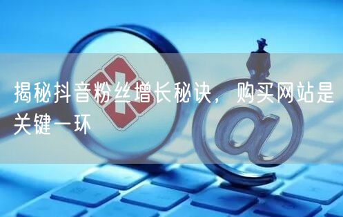 揭秘抖音粉丝增长秘诀，购买网站是关键一环