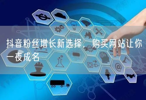 抖音粉丝增长新选择，购买网站让你一夜成名
