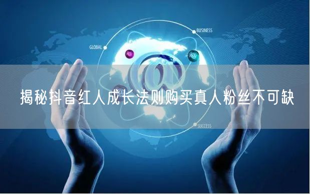 揭秘抖音红人成长法则购买真人粉丝不可缺