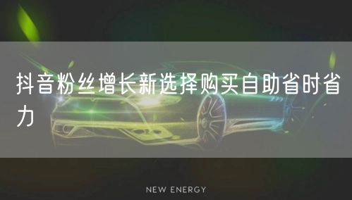 抖音粉丝增长新选择购买自助省时省力