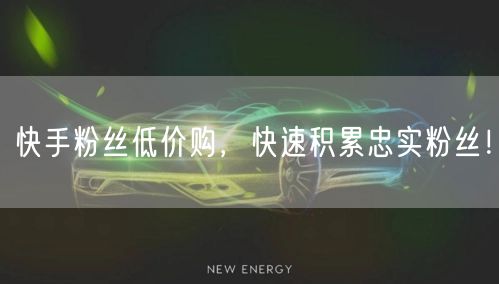 快手粉丝低价购，快速积累忠实粉丝！