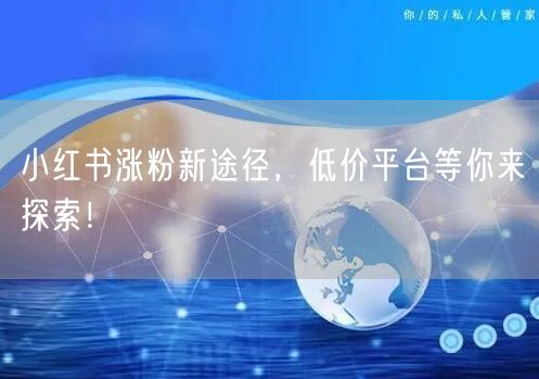 小红书涨粉新途径，低价平台等你来探索！