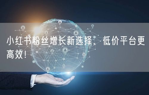 小红书粉丝增长新选择，低价平台更高效！